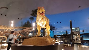 福井県立恐竜博物館に投稿された画像（2023/10/7）