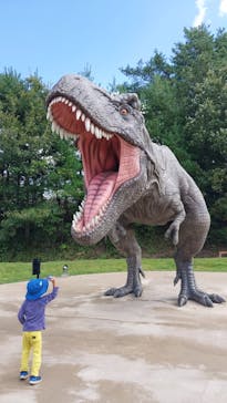 福井県立恐竜博物館に投稿された画像（2023/10/7）