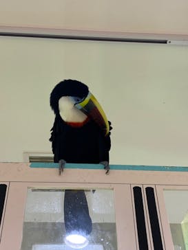 アニタッチアクアシティお台場に投稿された画像（2023/10/7）