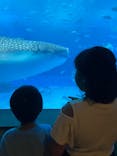 沖縄美ら海水族館に投稿された画像（2023/10/7）