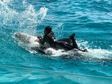 鴨川シーワールドに投稿された画像（2023/10/7）