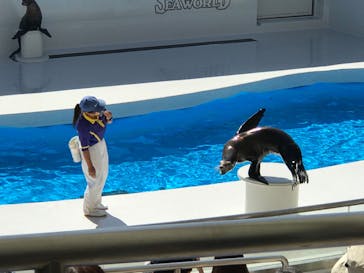 鴨川シーワールドに投稿された画像（2023/10/7）