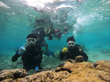 武藤潜水に投稿された画像（2023/10/7）