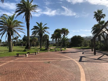 アロハガーデンたてやまに投稿された画像（2023/10/7）