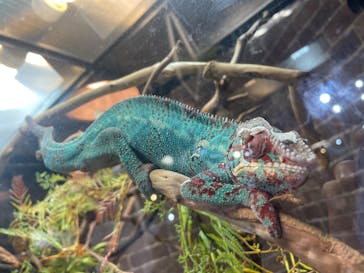 NARA IKIMONO MUSEUMに投稿された画像（2023/10/7）