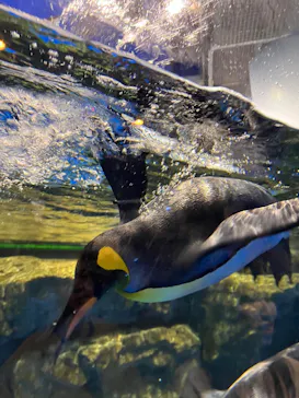 マクセル アクアパーク品川に投稿された画像（2023/10/7）