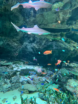 マクセル アクアパーク品川に投稿された画像（2023/10/7）