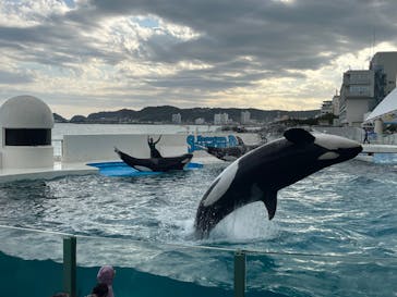 鴨川シーワールドに投稿された画像（2023/10/7）