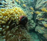 武藤潜水に投稿された画像（2023/10/7）