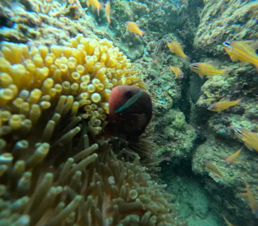武藤潜水に投稿された画像（2023/10/7）