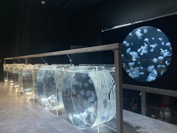 AOAO SAPPOROに投稿された画像（2023/10/7）