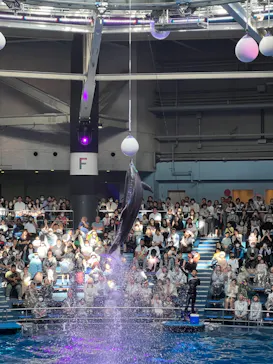 マクセル アクアパーク品川に投稿された画像（2023/10/7）