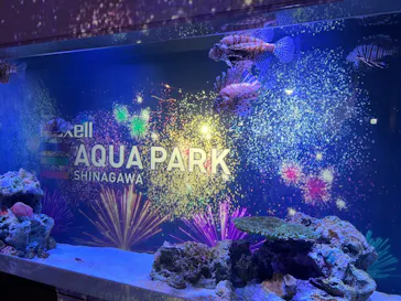 マクセル アクアパーク品川に投稿された画像（2023/10/7）