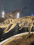 福井県立恐竜博物館に投稿された画像（2023/10/7）