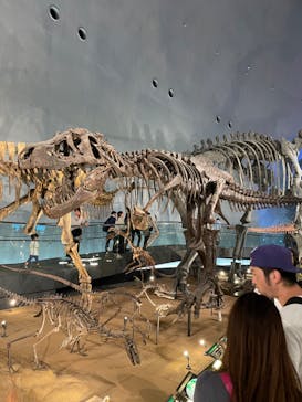 福井県立恐竜博物館に投稿された画像（2023/10/7）