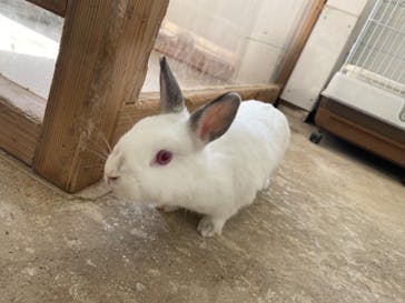 成田ゆめ牧場に投稿された画像（2023/10/7）