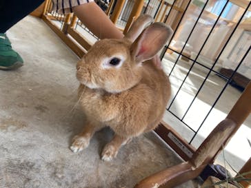 成田ゆめ牧場に投稿された画像（2023/10/7）