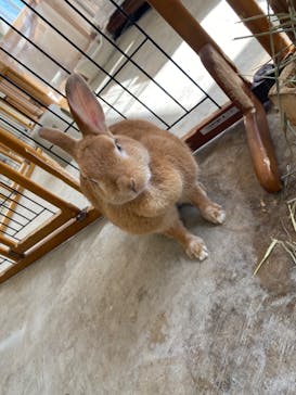 成田ゆめ牧場に投稿された画像（2023/10/7）