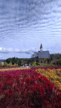 牧歌の里に投稿された画像（2023/10/7）