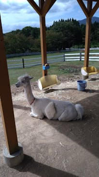 牧歌の里に投稿された画像（2023/10/7）