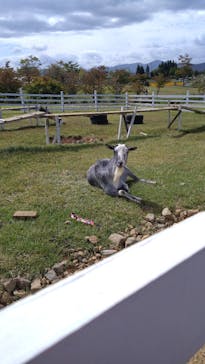 牧歌の里に投稿された画像（2023/10/7）