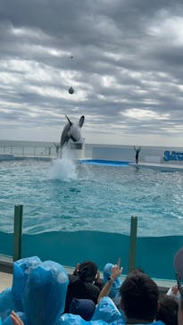 鴨川シーワールドに投稿された画像（2023/10/7）