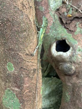 アスムイハイクスに投稿された画像（2023/10/7）