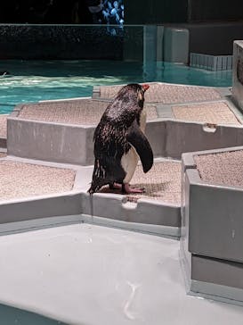 AOAO SAPPOROに投稿された画像（2023/10/7）