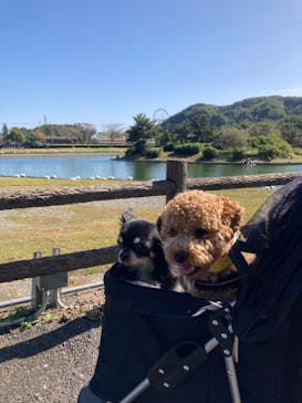 わんダフルネイチャーヴィレッジに投稿された画像（2023/10/7）