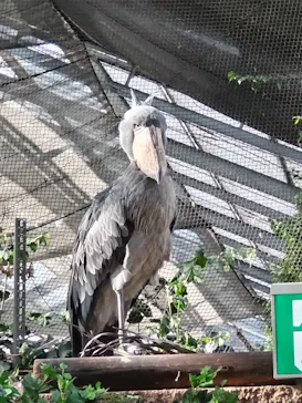 神戸どうぶつ王国に投稿された画像（2023/10/7）