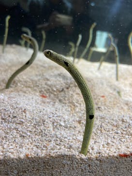 AOAO SAPPOROに投稿された画像（2023/10/7）