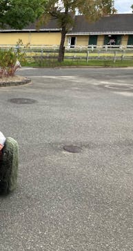 淡路ファームパーク イングランドの丘に投稿された画像（2023/10/7）