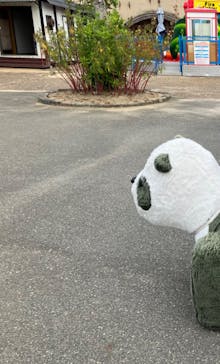 淡路ファームパーク イングランドの丘に投稿された画像（2023/10/7）