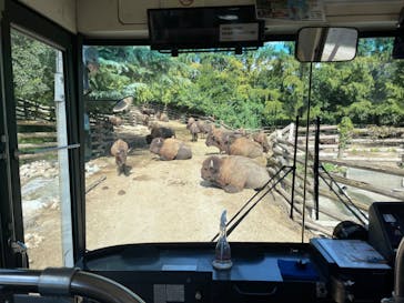 群馬サファリパークに投稿された画像（2023/10/7）