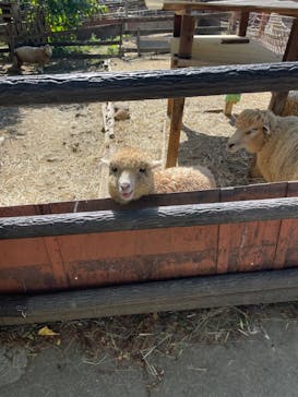 群馬サファリパークに投稿された画像（2023/10/7）