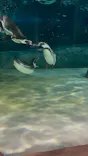 天王寺動物園に投稿された画像（2023/10/7）