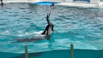 鴨川シーワールドに投稿された画像（2023/10/7）