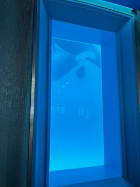 鴨川シーワールドに投稿された画像（2023/10/7）