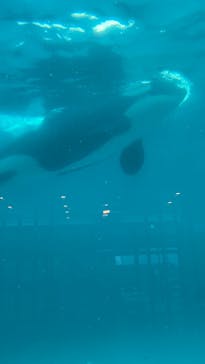 鴨川シーワールドに投稿された画像（2023/10/7）