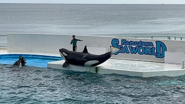 鴨川シーワールドに投稿された画像（2023/10/7）