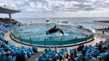 鴨川シーワールドに投稿された画像（2023/10/7）