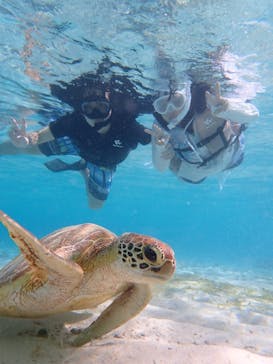 宮古島マリン GB QUESTに投稿された画像（2023/10/7）