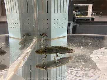 AOAO SAPPOROに投稿された画像（2023/10/7）