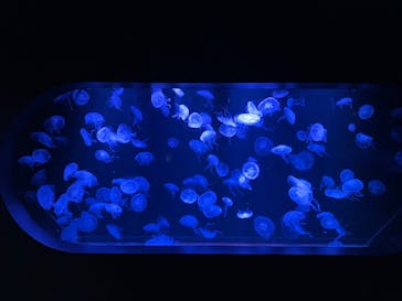 AOAO SAPPOROに投稿された画像（2023/10/7）