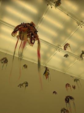 金沢21世紀美術館に投稿された画像（2023/10/7）