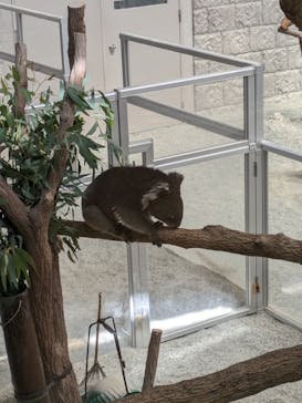 淡路ファームパーク イングランドの丘に投稿された画像（2023/10/7）