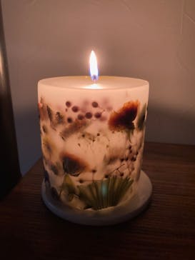 ずこうしつ〜sugamo〜に投稿された画像（2023/10/7）