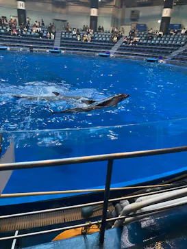 マクセル アクアパーク品川に投稿された画像（2023/10/7）