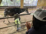 よこはま動物園ズーラシアに投稿された画像（2023/10/8）