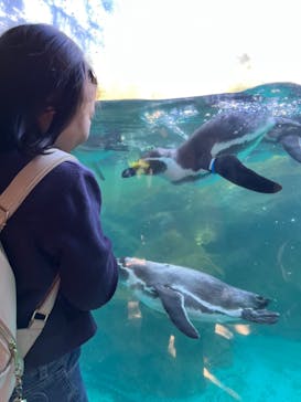 よこはま動物園ズーラシアに投稿された画像（2023/10/7）